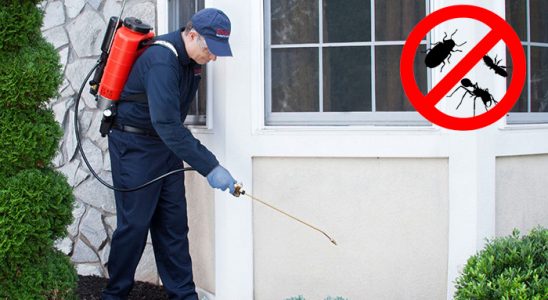 Adaklı Dezenfeksiyon böcek ilaçlama ve haşere kontrolü — ilaclama-tr.com
